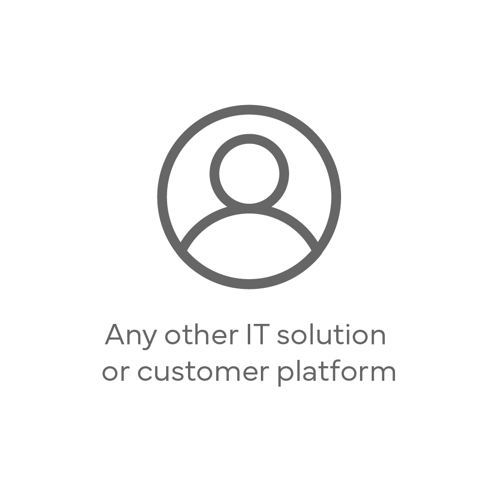 Other IT Solution