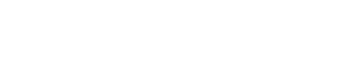 Mobility Global | Digital Automotive